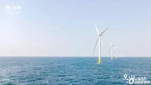 山東首次實現(xiàn)海上風(fēng)電航空應(yīng)用發(fā)電
